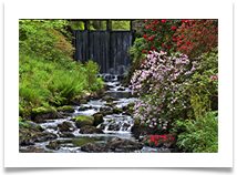5 - Spring - Chris Beesley